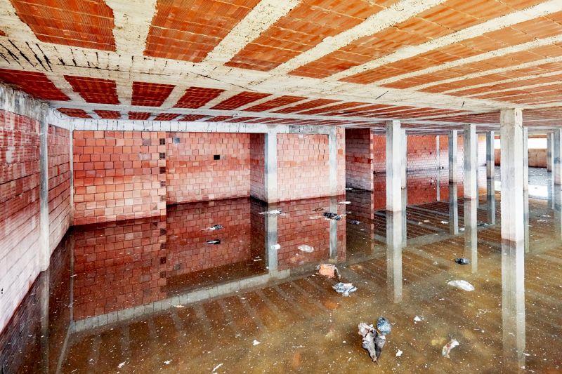 Basement Water Cleanup in Napa, CA