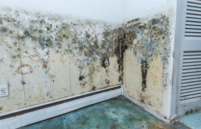 Avoid Mold!